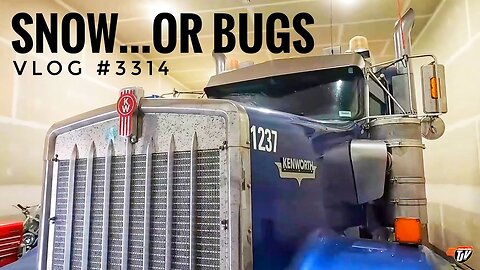 SNOW...OR BUGS | My Trucking Life | Vlog #3314