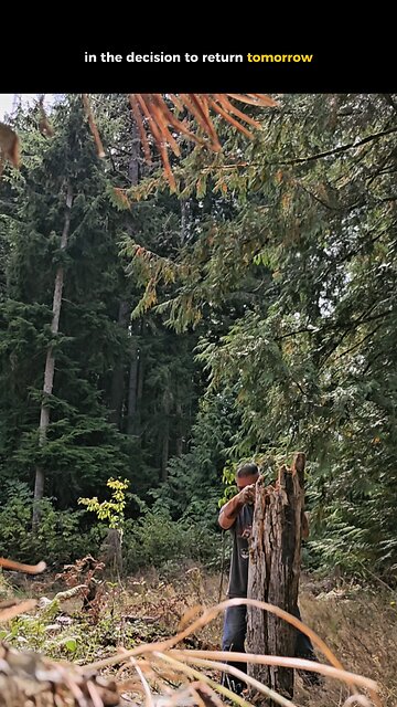 the Hard Working man