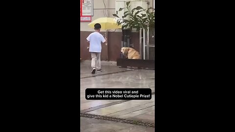 Kind Child Shares Umbrella with Stray Dog 🌧️❤️