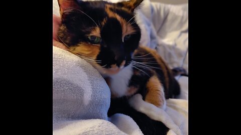 Where it all started