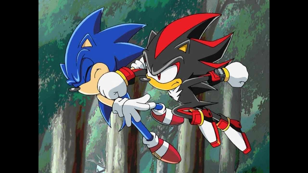 Shadow is beaten up sonic.