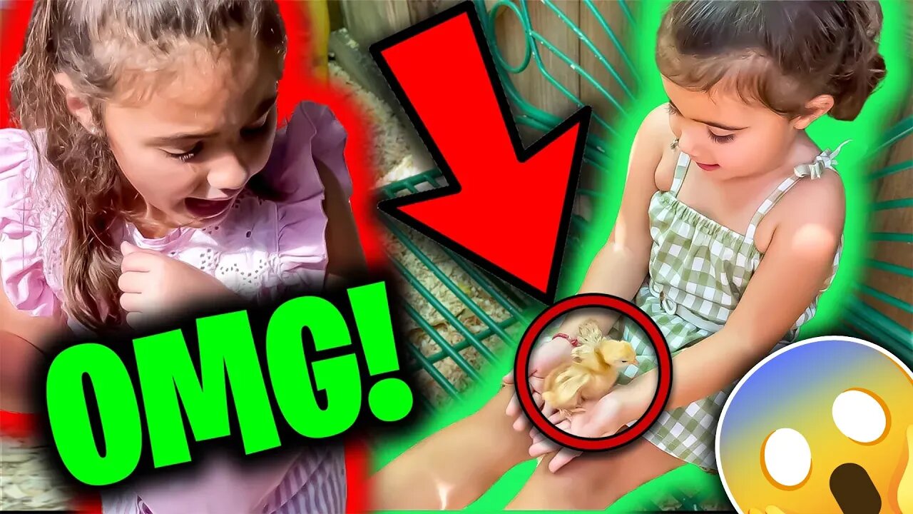 We Visited The BEST Petting Zoo In Delray Beach, FL! They Had An ICE CREAM SHOP!