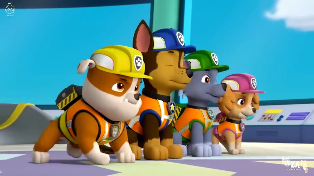 PAW Patrol Cartoons