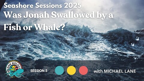 Was Jonah Swallowed by a Fish or Whale?