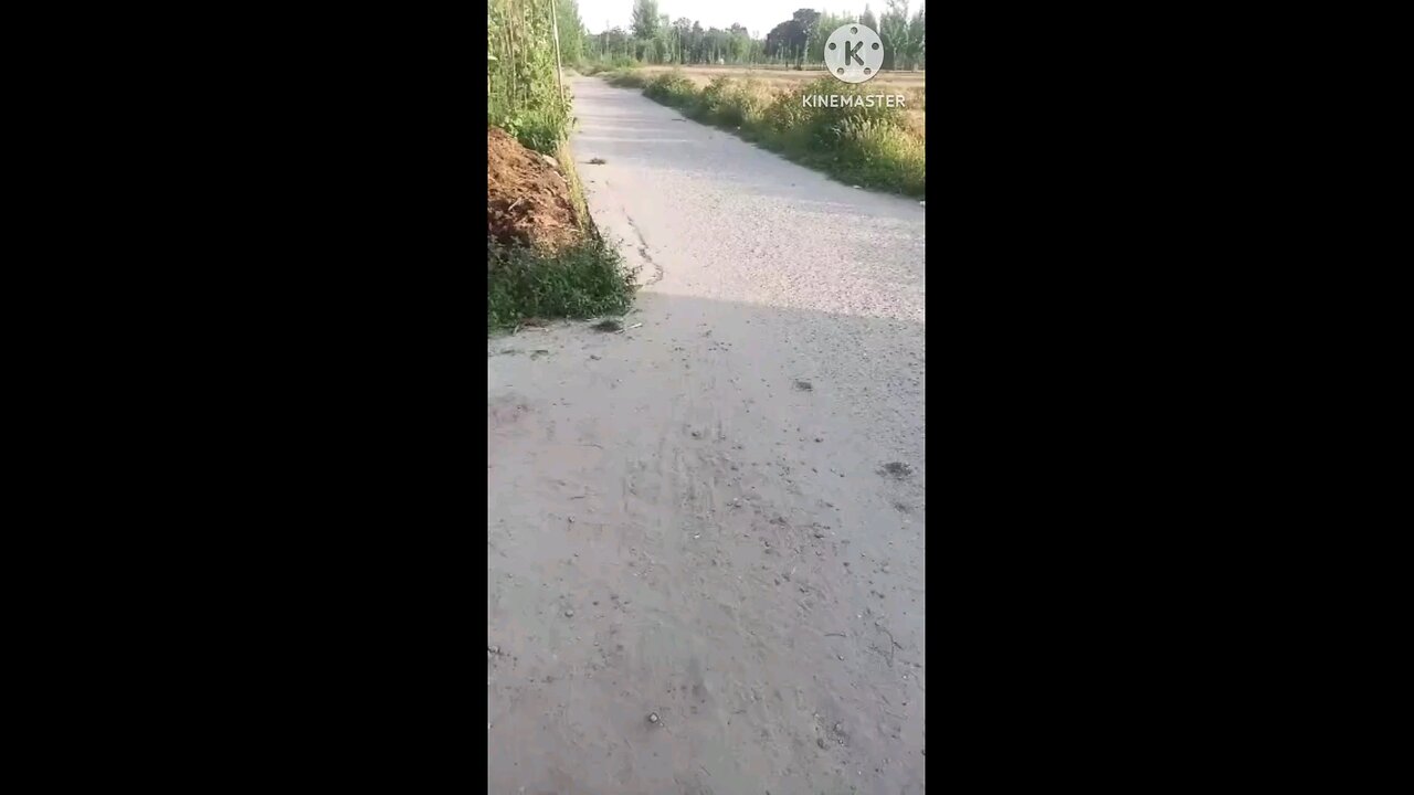 satisfying Video