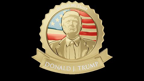 Donald Trump Gold Lapel Pin Review - Is It Legit?