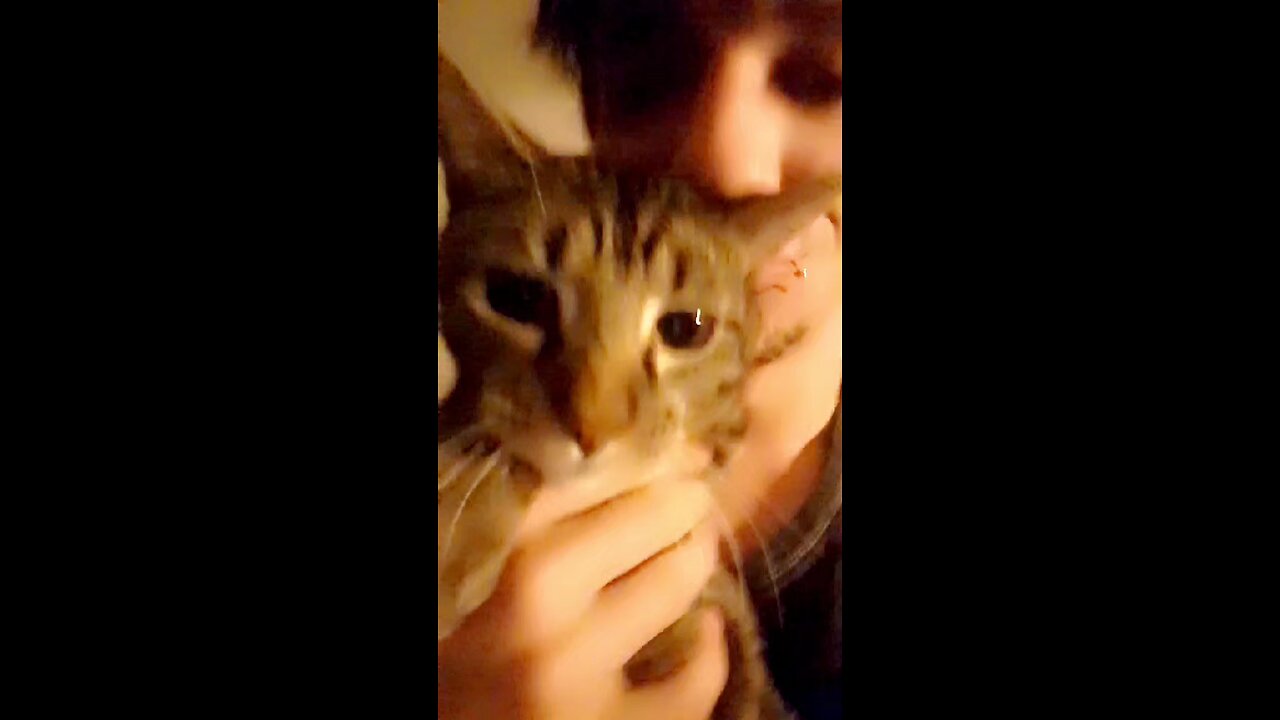 Me and my three legged cat dancing