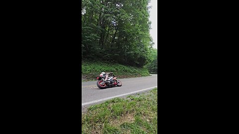 Tuono v4 and R1 on the way.