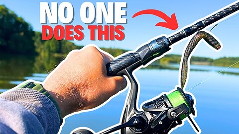What I WISH Someone Would’ve Told Me About NEKO RIG Fishing
