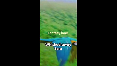 fantasy land