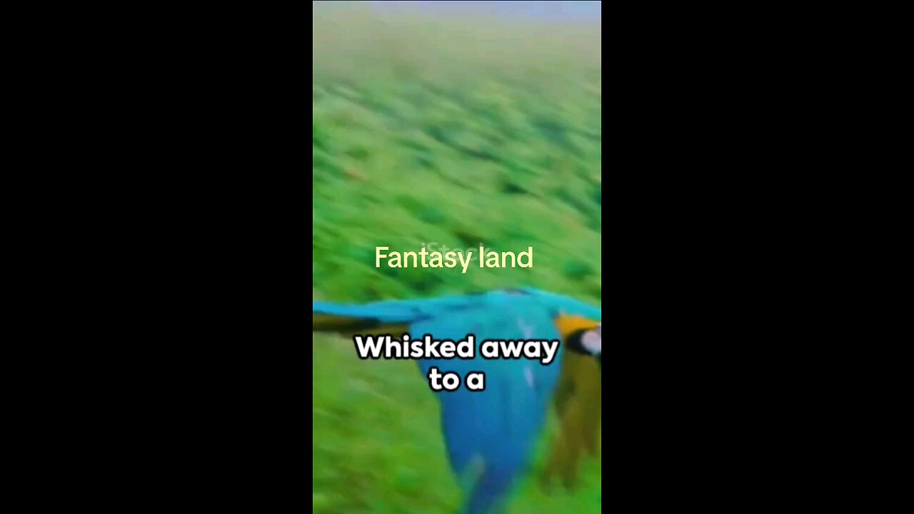 fantasy land