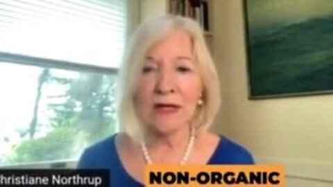 Fertility Clinics Are Witnessing Horrors because of the Vaccines