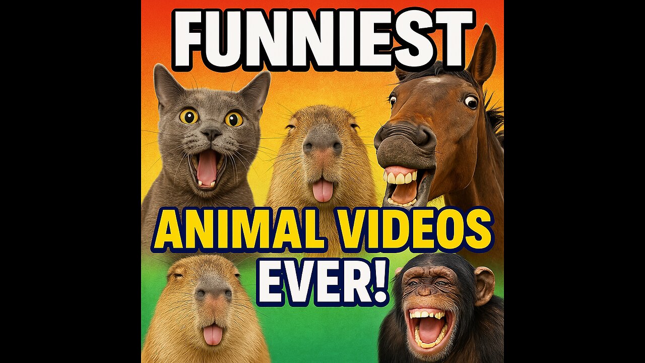 The Ultimate Funny Animal Compilation 🐾 | PART 1