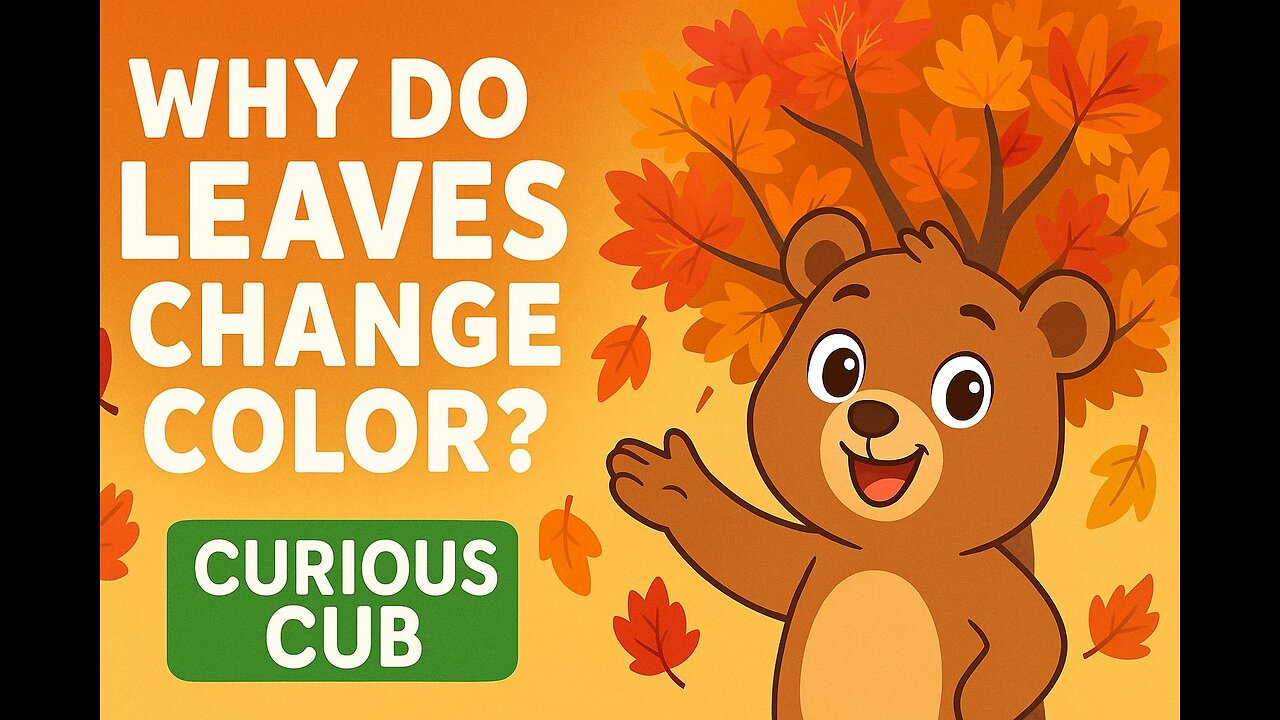 Why Do Leaves Change Color in Autumn? 🍁 | Fun Science for Kids | Curious Cub