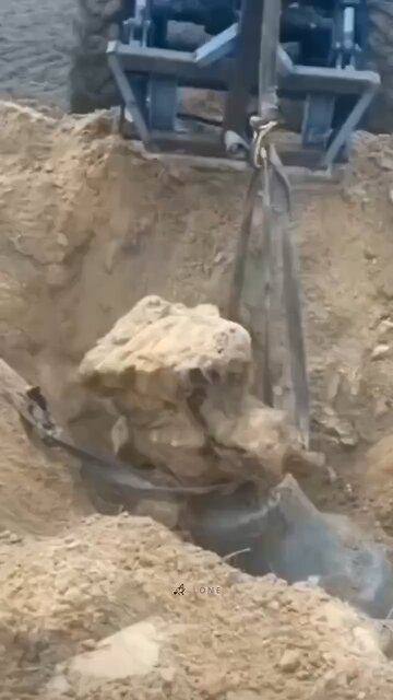 The long-lost bells are finally being unearthed!