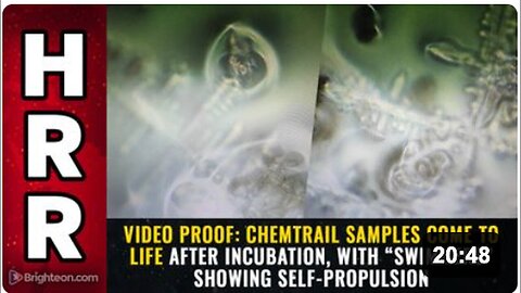"Unseen Evidence: Video Proof of Self-Propelling 'Swimmers' in Incubated Chemtrail Samples"