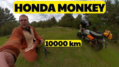 6000 miles and more