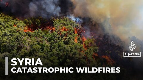 Catastrophic wildfires destroy 10,000 hectares of forest in Syria's Latakia
