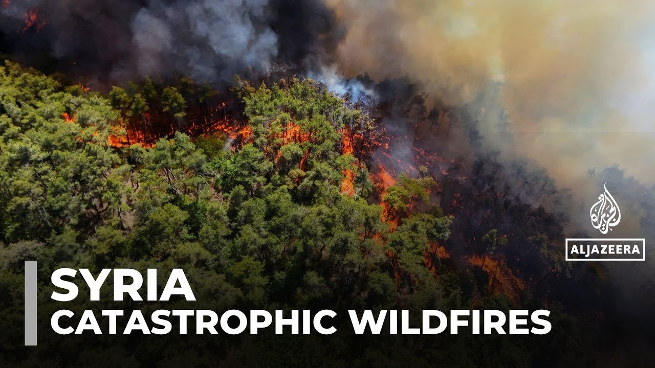 Catastrophic wildfires destroy 10,000 hectares of forest in Syria's Latakia