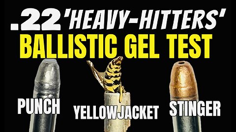 .22 Heavy-Hitters VS Ballistic Gel #kentuckylasslo