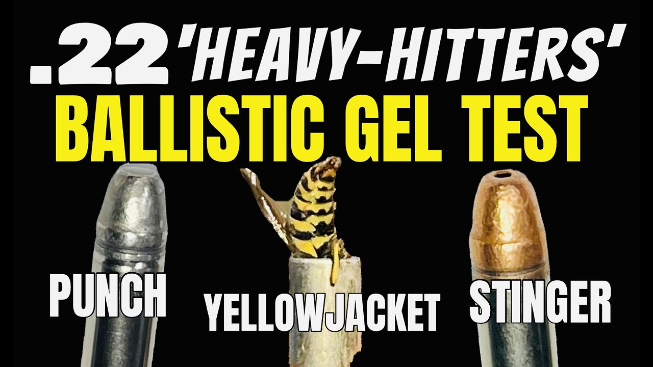.22 Heavy-Hitters VS Ballistic Gel #kentuckylasslo