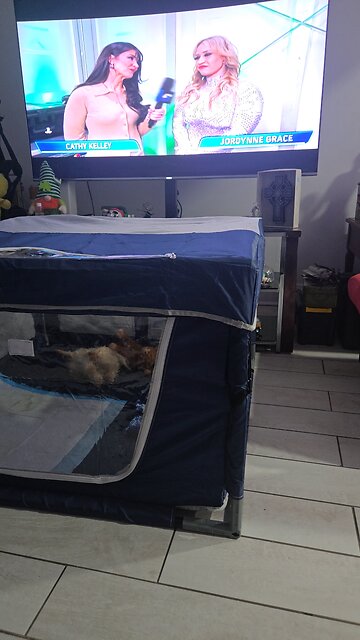 Jordan grace vs jade cargill