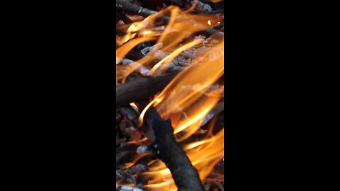 Campfire On Gound -Burning Eucalyptus ( Elemental Moment)