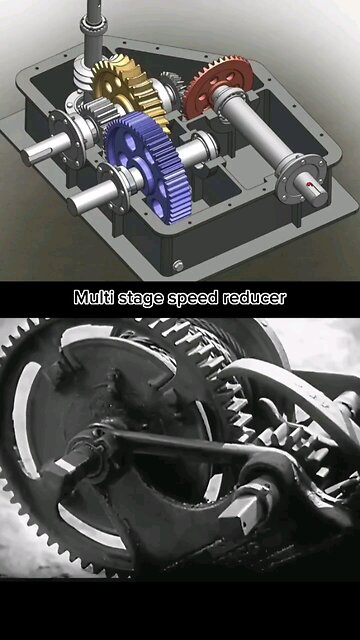 Speed reducer