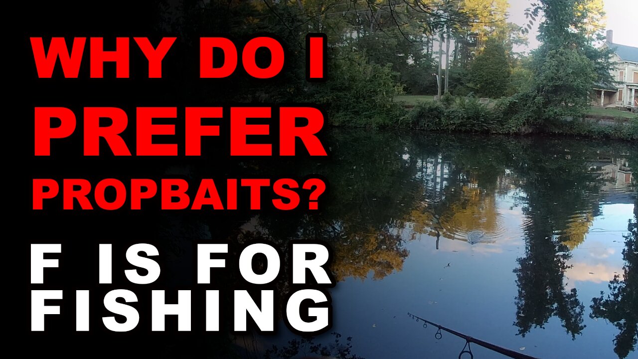 Why do I Prefer Propbaits?