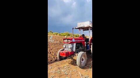 Tabcasho / harvesting