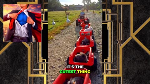 Cuteness Overload! Farmer Kisses Bunnies & Chickens in Tractor Parade!