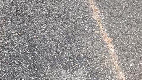 MY CAR DOESNT START WHEN ITS CLOUDY OR """RAINING"""