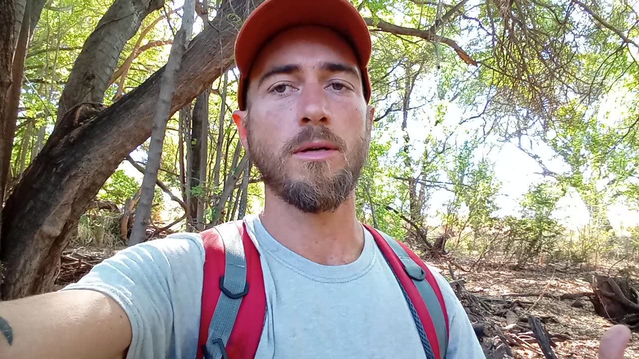 Agenda 21 2030 Slavery Is A Repeat Of History