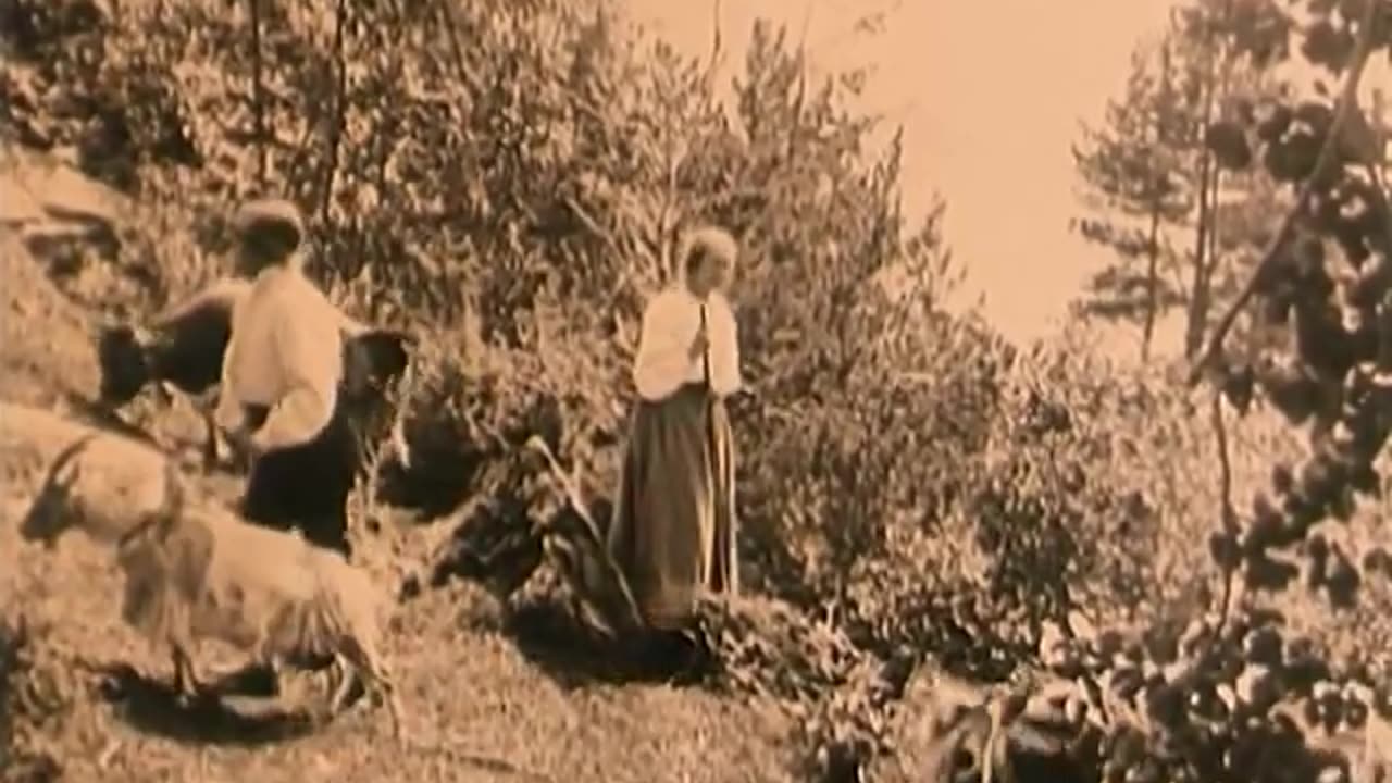 A Dangerous Wooing (1919)