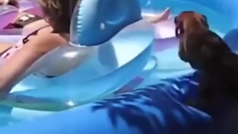 😂🌂️ I'm Not Getting Wet Today! | FunFM