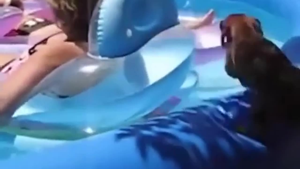 😂🌂️ I'm Not Getting Wet Today! | FunFM
