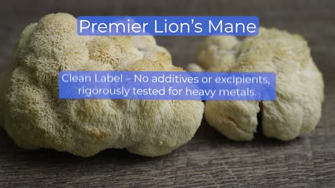 NEW! Premier Lion's Mane is Here!