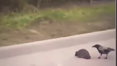 Van mit tanulni!