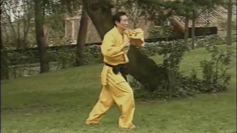 Hankido/Hapkido