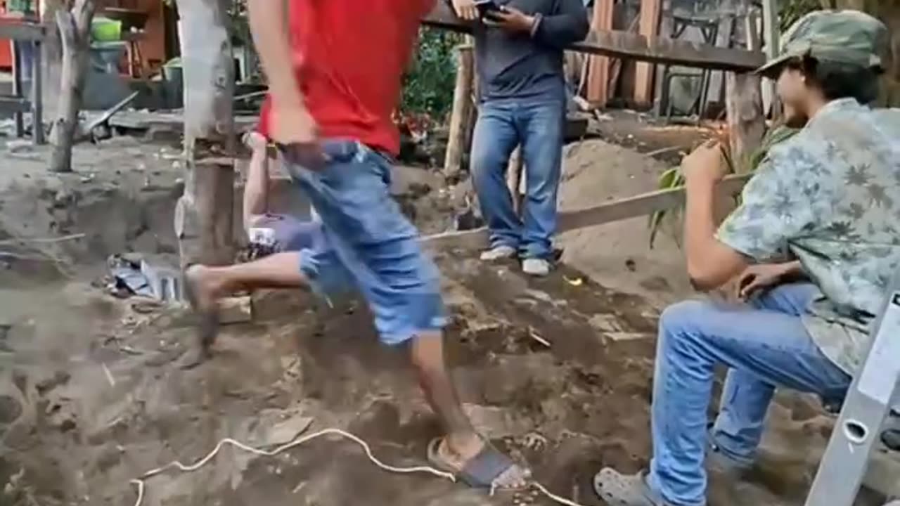 funniest clips