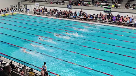 Long Course 100 Freestyle Swimming