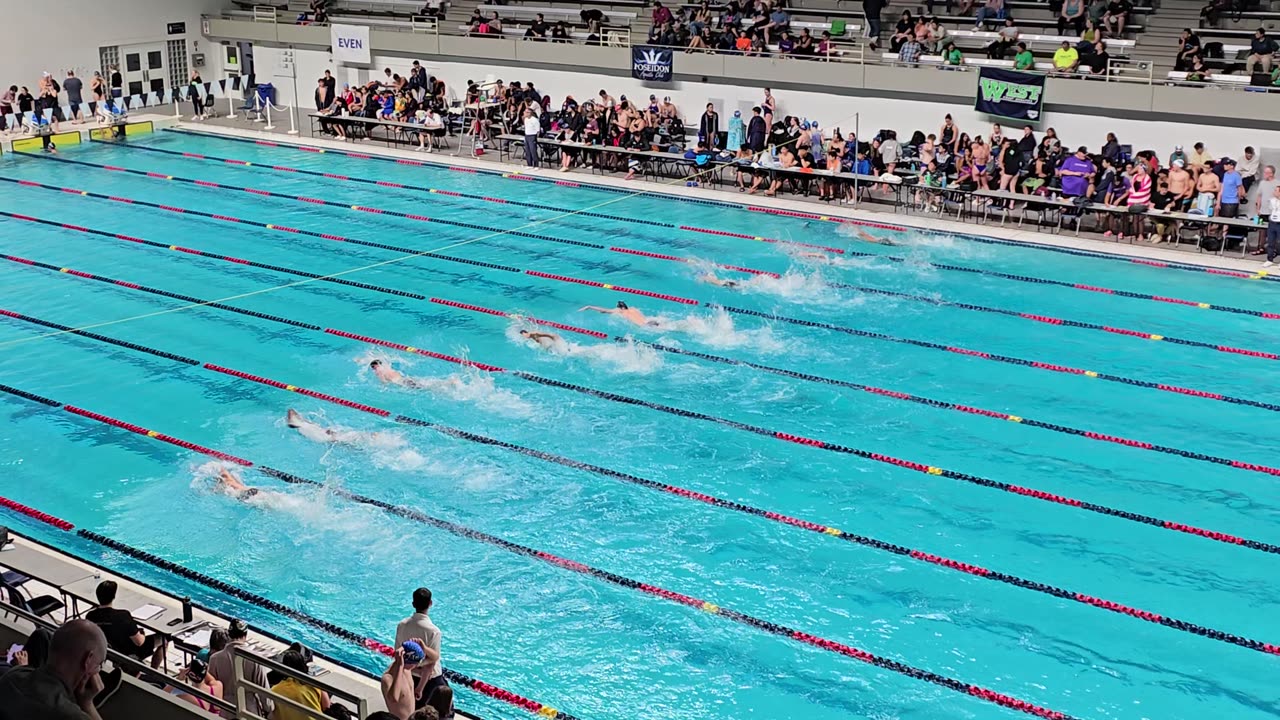 Long Course 100 Freestyle Swimming