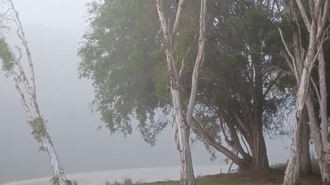 24.6.2025 The Barron River, Kuranda