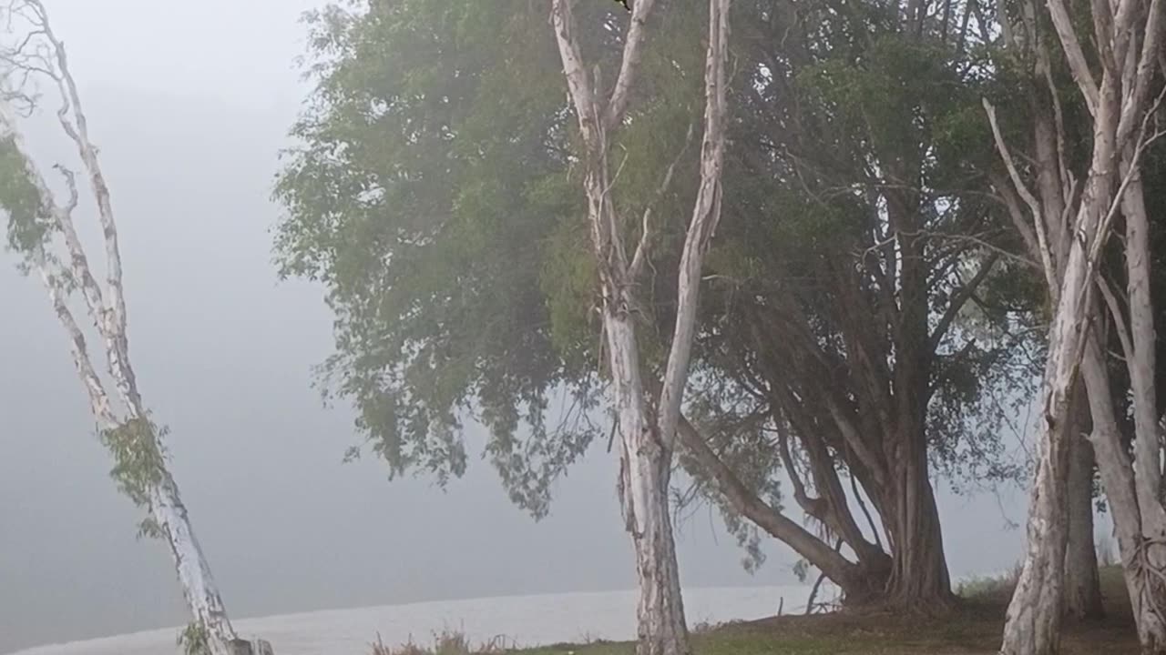 24.6.2025 The Barron River, Kuranda