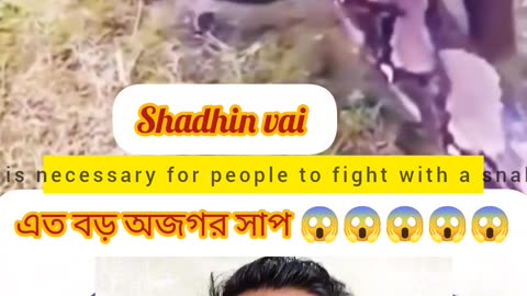 “Unbelievable! অজগর সাপ মানুষকে যেভাবে পেঁচে ধরলো 😱🐍 | Real Wild Attack”