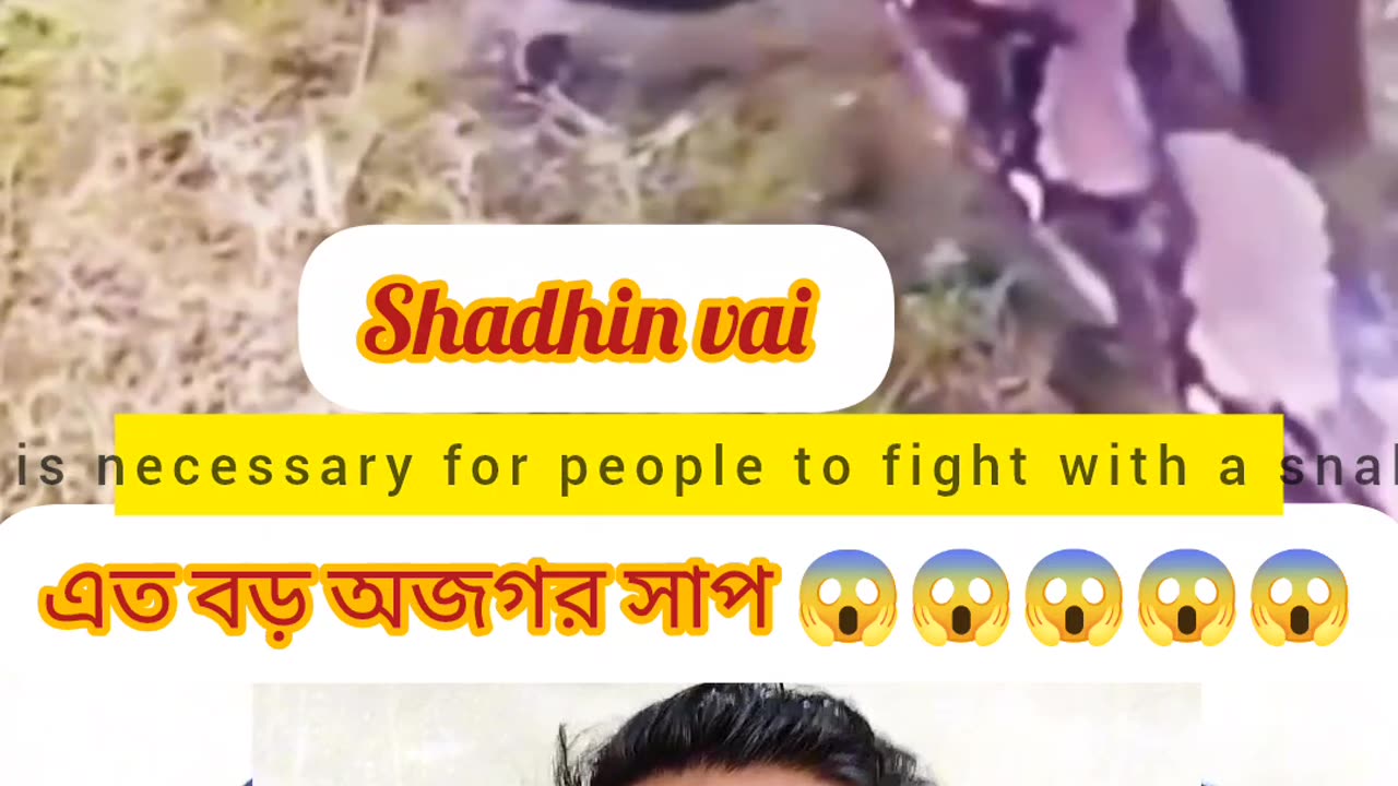 “Unbelievable! অজগর সাপ মানুষকে যেভাবে পেঁচে ধরলো 😱🐍 | Real Wild Attack”