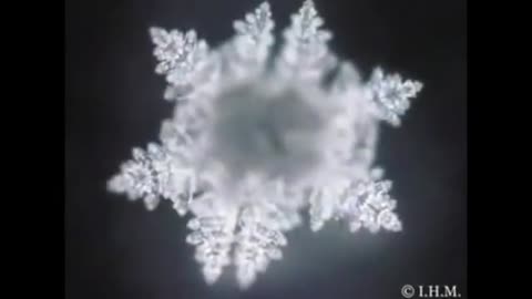 Frequency of the Heavens - Cymatics, Bio & Sonoluminescence, actual stars and planets