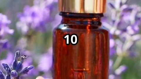 DIY NATURAL mosquito repellent RECIPE!