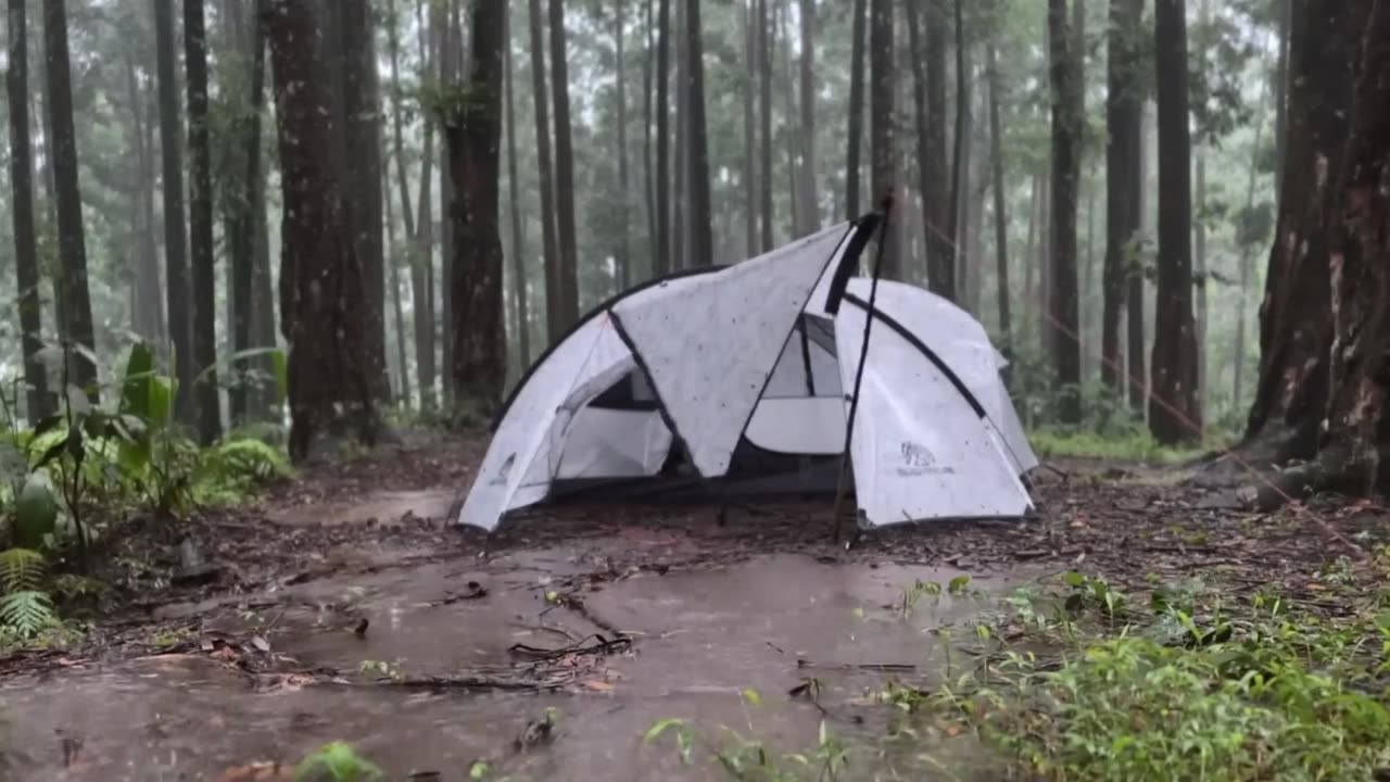 "Solo Overnight Camping in the Rainforest | Heavy Rain, Jungle Sounds & Campfire Cooking"