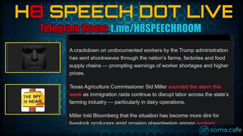 SpyTime "Chicken Little Influencers and Media Liars Abound"